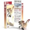 Eugy 3D Bastelset Raptor 1 Eugy 3D Bastelset Raptor -Essen - Trinken Verkäufe hersteller eugy 3d bastelset raptor