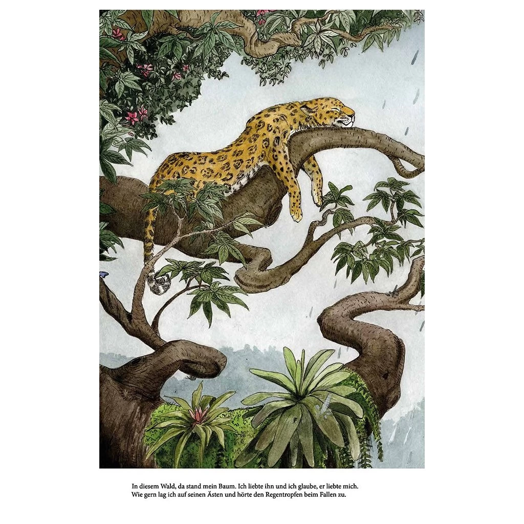 Kinderbuch - Der Wald Ohne Bäume Von Jupitermond 6 Kinderbuch - Der Wald Ohne Bäume Von Jupitermond – Bild 4