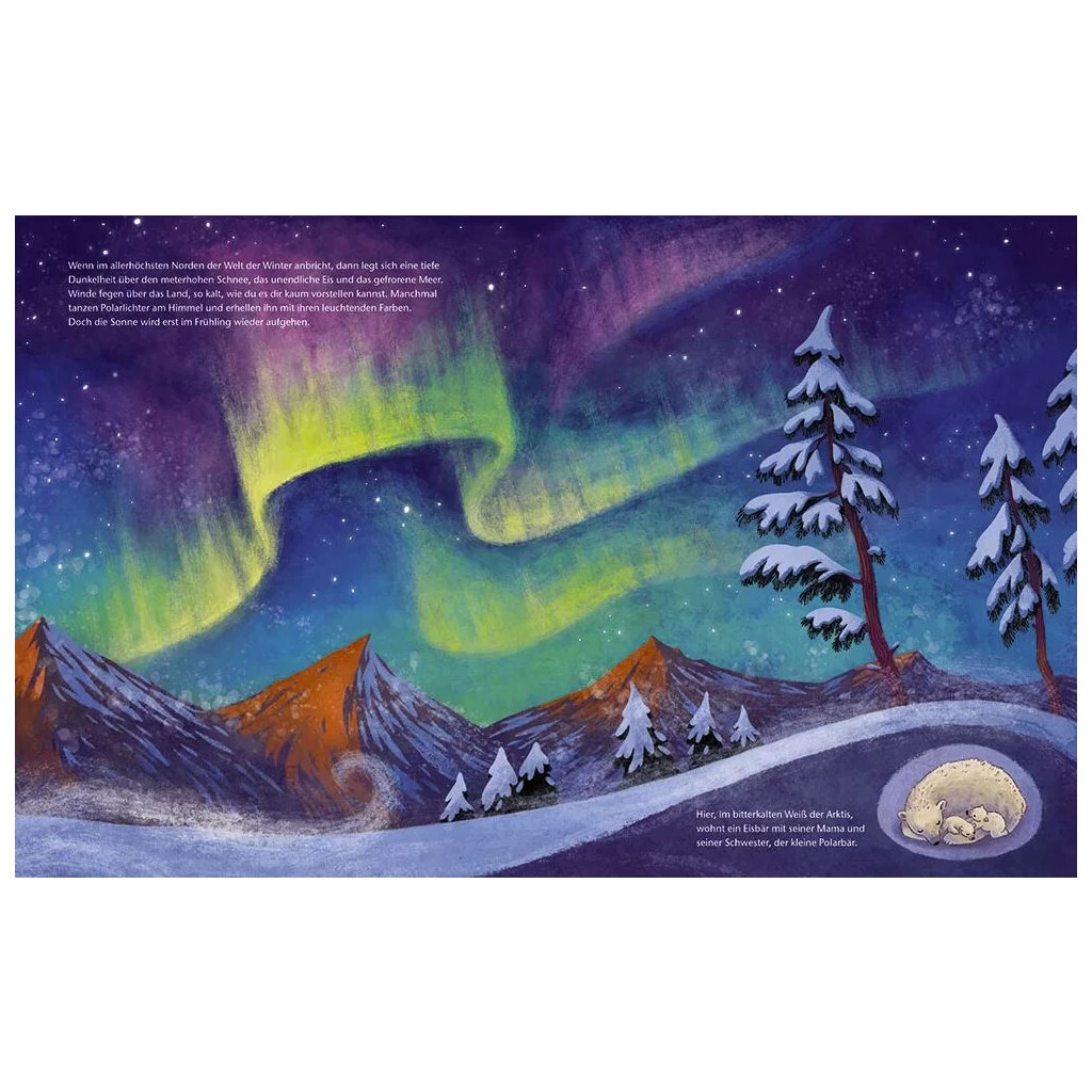 Magellan Kinder-Buch Der Kleine Polarbär 4 Magellan Kinder-Buch Der Kleine Polarbär – Bild 2