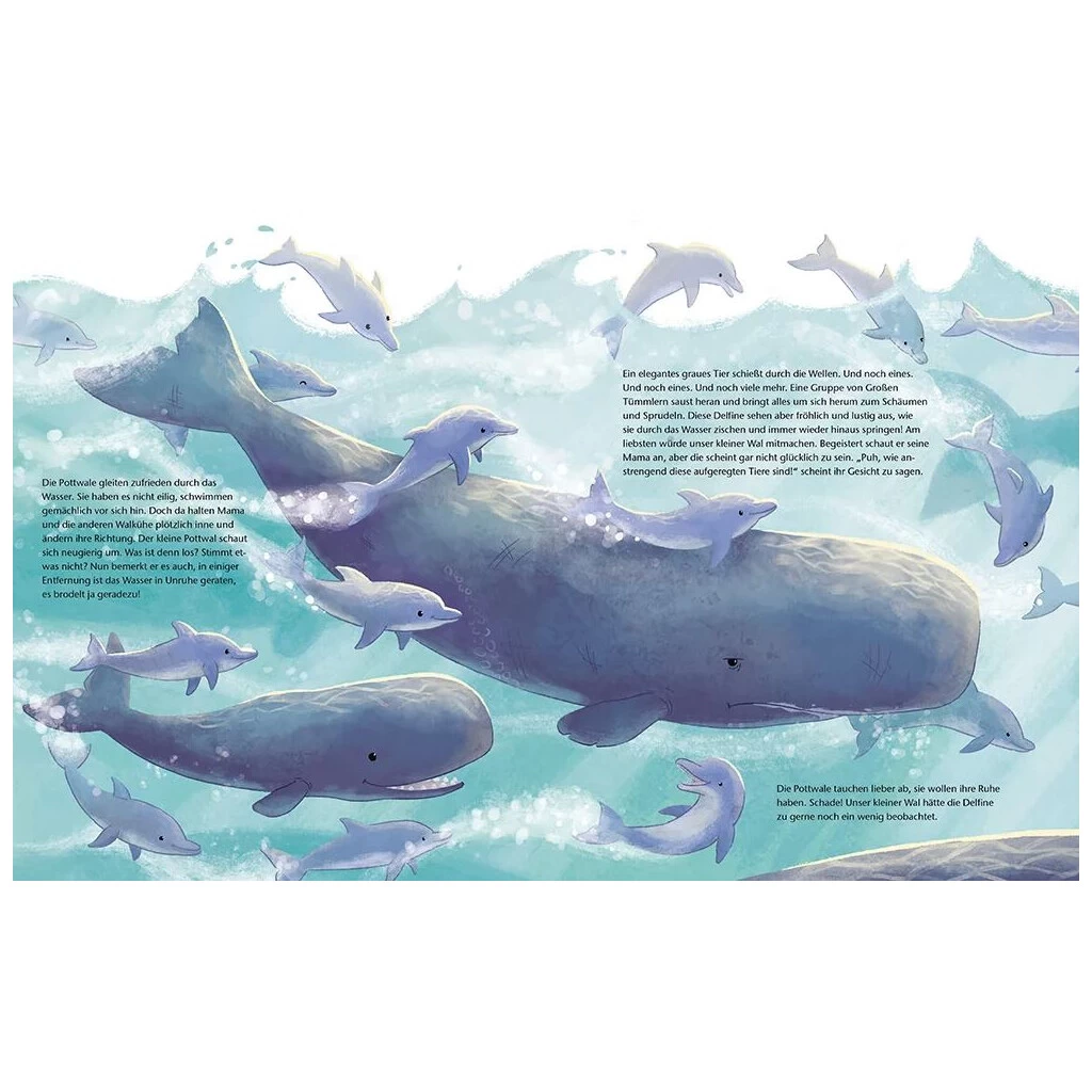 Magellan Kinder-Buch Der Kleine Wal 4 Magellan Kinder-Buch Der Kleine Wal – Bild 2