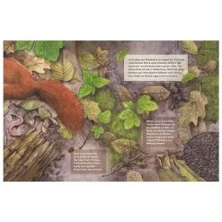 Magellan Kinder-Buch Tag Und Nacht Im Wald -Essen - Trinken Verkäufe hersteller magellan kinder buch tag und nacht im wald 3