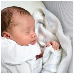 Swaddle, Mulltuch - Federn Blau & Grau 70x70cm Bambus & Baumwolle Von Maylily -Essen - Trinken Verkäufe hersteller maylily swaddle mulltuch federn blau grau 70 x 70 cm bambus baumwolle 4