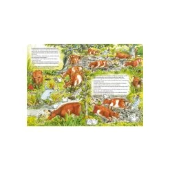 Pettersson Und Findus Unsere Schönsten Geschichten Von Oetinger -Essen - Trinken Verkäufe hersteller oetinger petterson und findus unsere schoensten geschichten 4